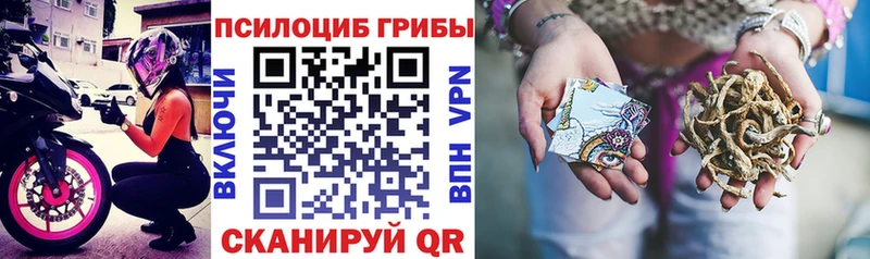 Галлюциногенные грибы Magic Shrooms  Партизанск 