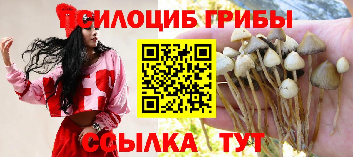Галлюциногенные грибы GOLDEN TEACHER  Вход с VPN  закладка  Партизанск 